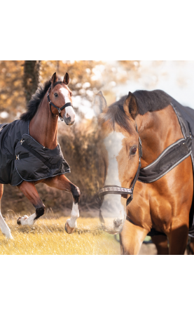 Sample "Halifax" 50gr 2in1...