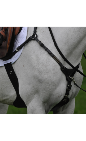 Kavalkade SecureX...