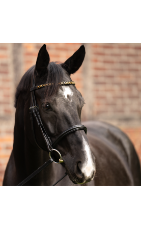 Kavalkade Frontriem Catena,...