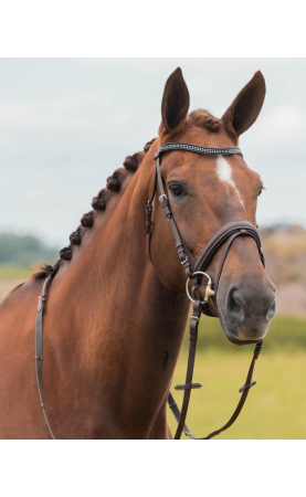 Horka Hoofdstel Nikki, Bruin