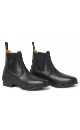 Mountain Horse Aurora...