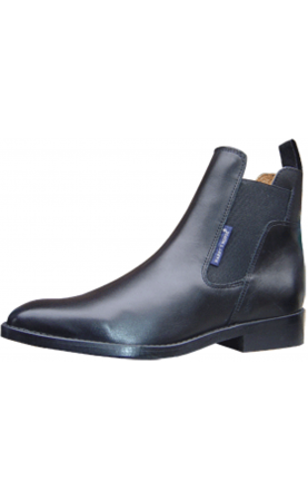 Harry's Horse Leren...