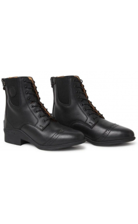 Mountain Horse Aurora Back...