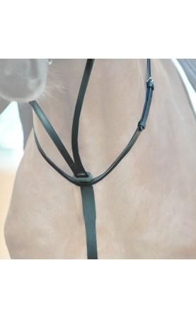 Kavalkade martingaal...