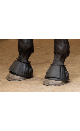 Harry's Horse...