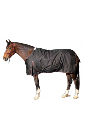 Harry's Horse Regendeken...