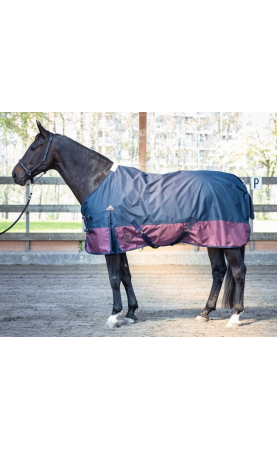 Harry's Horse Regendeken...